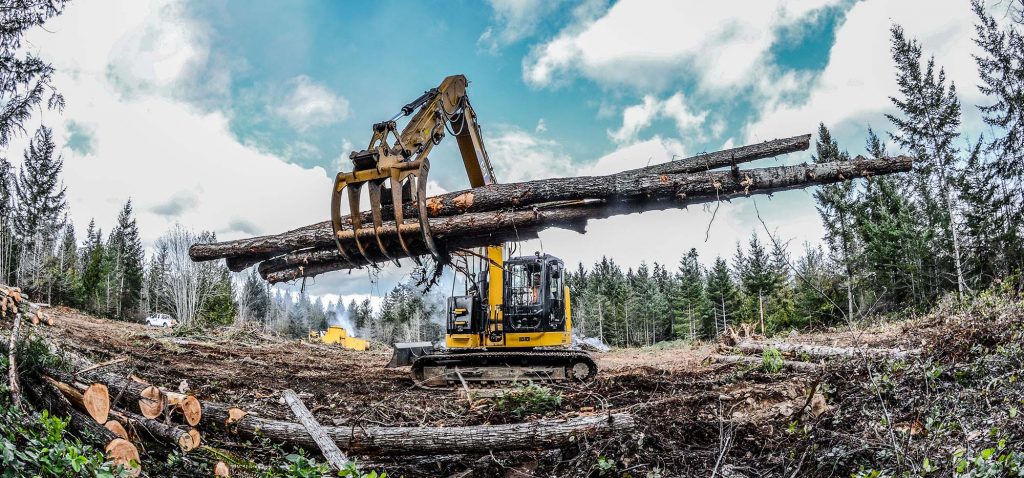 Land Clearing Excavation - Terram Excavating